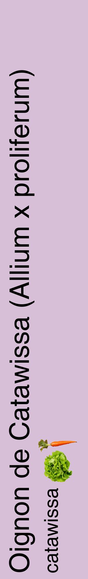 Étiquette de : Allium x proliferum catawissa - format c - style noire54_basiquehel avec comestibilité simplifiée
