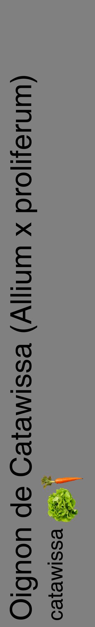 Étiquette de : Allium x proliferum catawissa - format c - style noire57_basiquehel avec comestibilité simplifiée