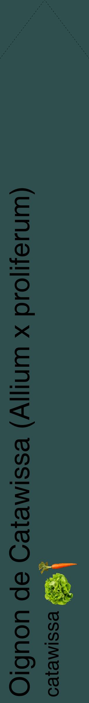 Étiquette de : Allium x proliferum catawissa - format c - style noire58_simplehel avec comestibilité simplifiée