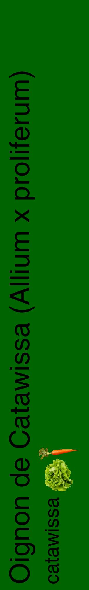 Étiquette de : Allium x proliferum catawissa - format c - style noire8_basiquehel avec comestibilité simplifiée