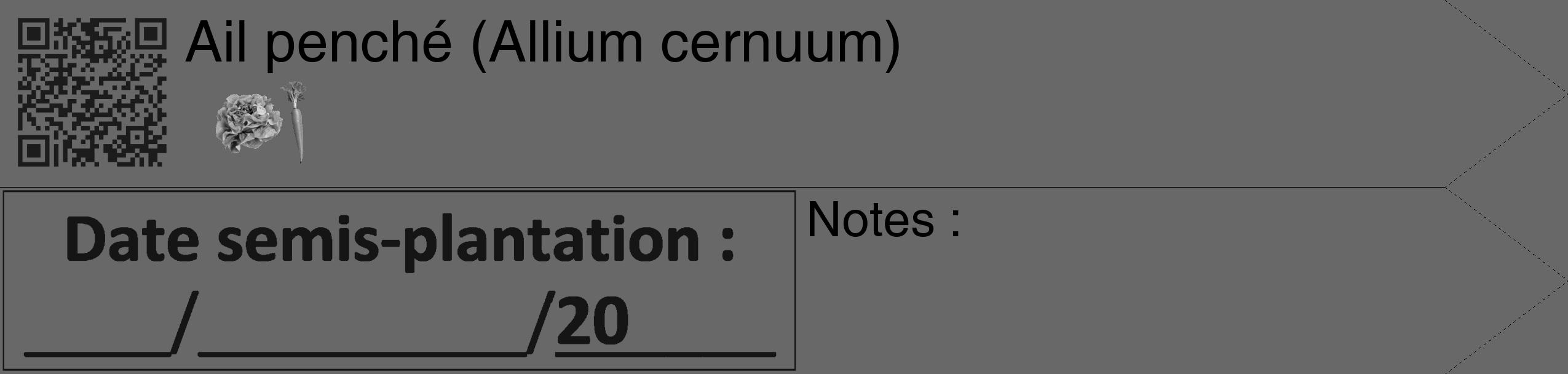 Étiquette de : Allium cernuum - format c - style noire6_simple_simplehel avec qrcode et comestibilité simplifiée