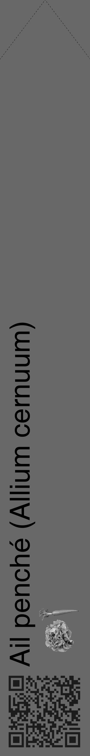 Étiquette de : Allium cernuum - format c - style noire6_simple_simplehel avec qrcode et comestibilité simplifiée - position verticale