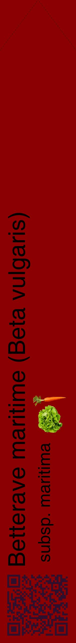 Étiquette de : Beta vulgaris subsp. maritima - format c - style noire34_simplehel avec qrcode et comestibilité simplifiée