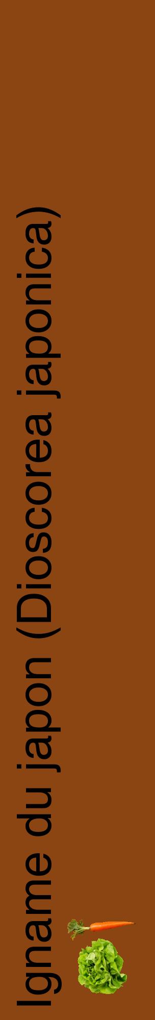Étiquette de : Dioscorea japonica - format c - style noire30_basiquehel avec comestibilité simplifiée