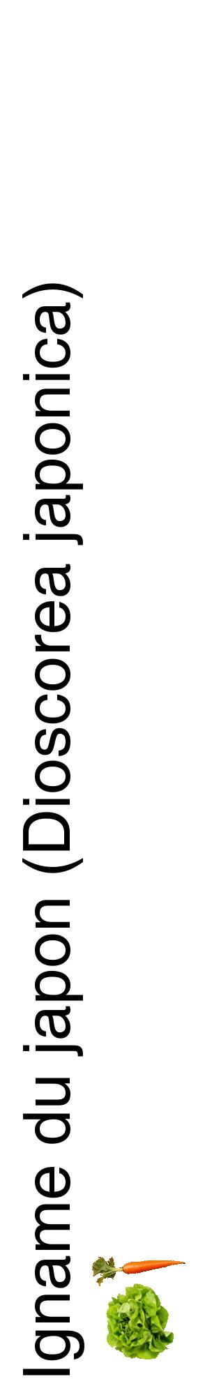 Étiquette de : Dioscorea japonica - format c - style noire60_basiquehel avec comestibilité simplifiée