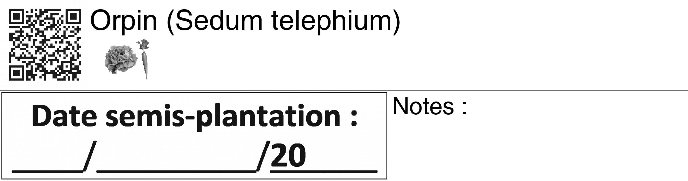 Étiquette de : Sedum telephium - format c - style noire60_basiquegrrvhel avec qrcode et comestibilité simplifiée