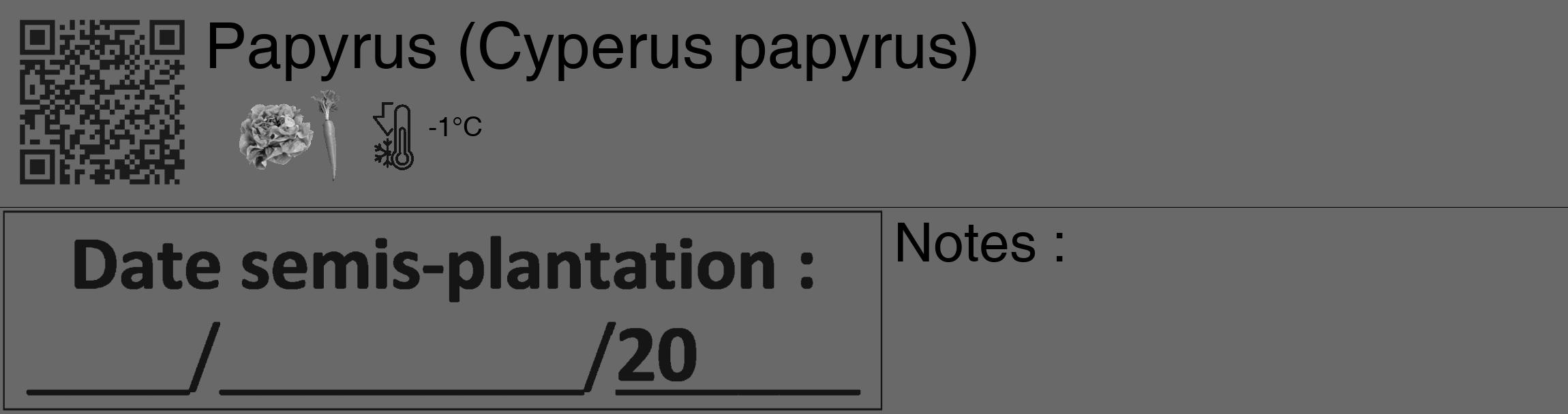 Étiquette de : Cyperus papyrus - format c - style noire51_basique_basiquehel avec qrcode et comestibilité simplifiée