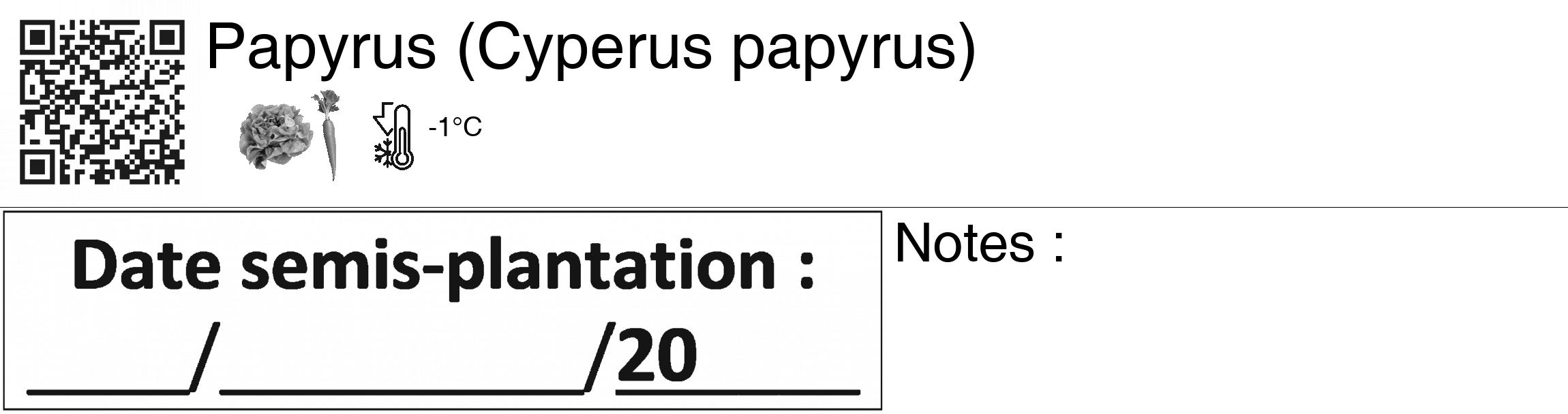 Étiquette de : Cyperus papyrus - format c - style noire60_basiquegrrvhel avec qrcode et comestibilité simplifiée