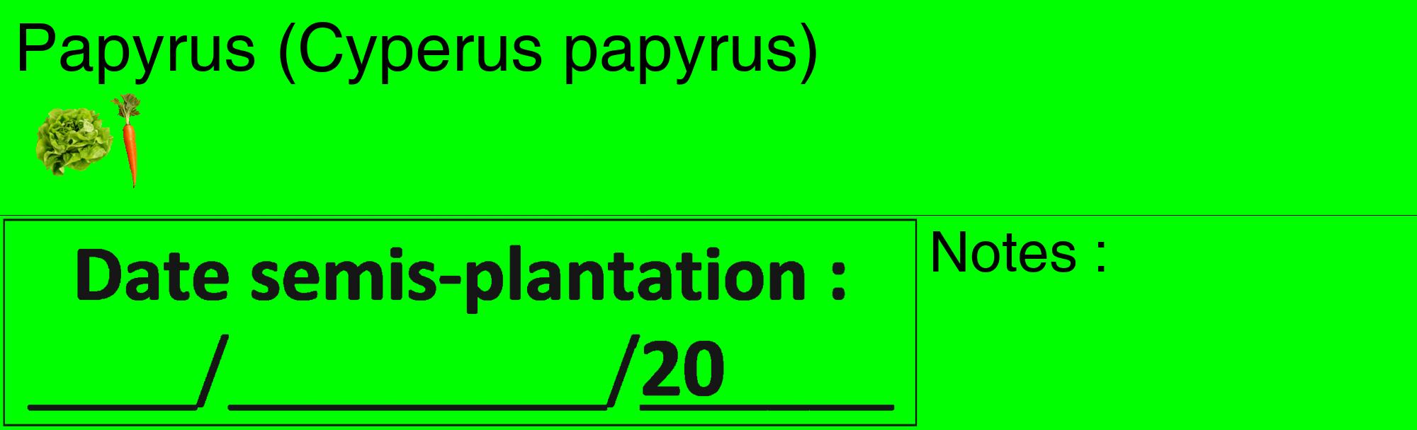 Étiquette de : Cyperus papyrus - format c - style noire16_basique_basiquehel avec comestibilité simplifiée
