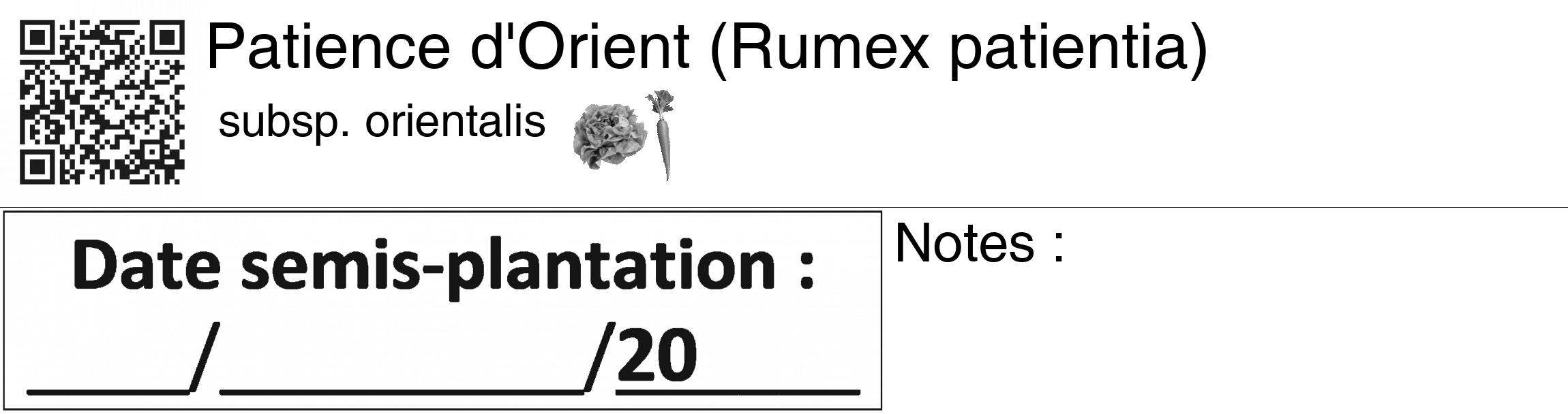 Étiquette de : Rumex patientia subsp. orientalis - format c - style noire60_basiquegrrvhel avec qrcode et comestibilité simplifiée