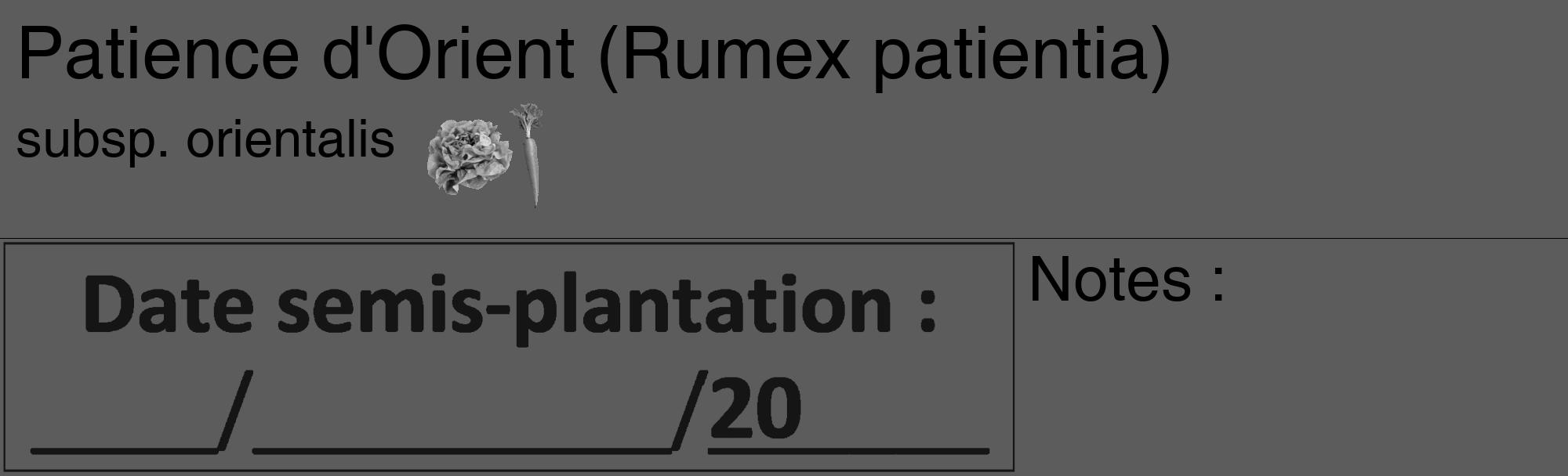 Étiquette de : Rumex patientia subsp. orientalis - format c - style noire49_basique_basiquehel avec comestibilité simplifiée