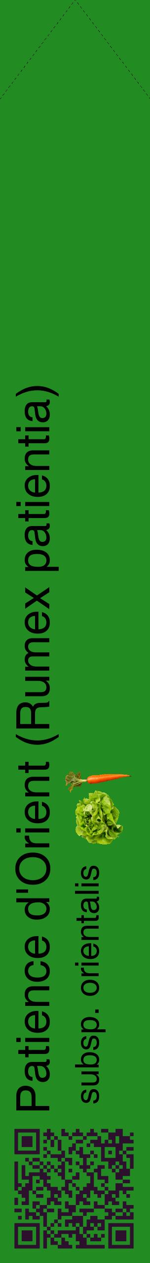 Étiquette de : Rumex patientia subsp. orientalis - format c - style noire10_simplehel avec qrcode et comestibilité simplifiée