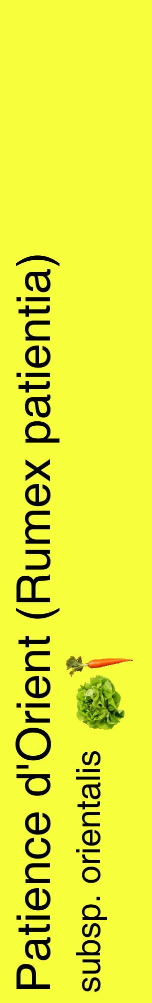 Étiquette de : Rumex patientia subsp. orientalis - format c - style noire18_basiquehel avec comestibilité simplifiée