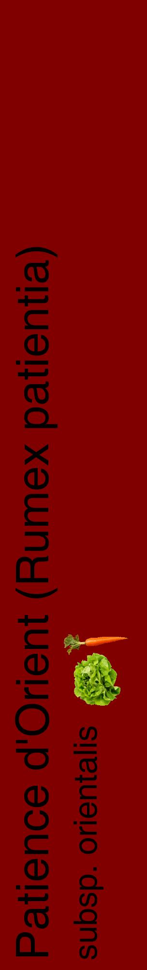 Étiquette de : Rumex patientia subsp. orientalis - format c - style noire29_basiquehel avec comestibilité simplifiée