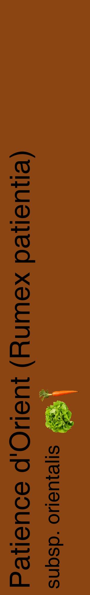Étiquette de : Rumex patientia subsp. orientalis - format c - style noire30_basiquehel avec comestibilité simplifiée