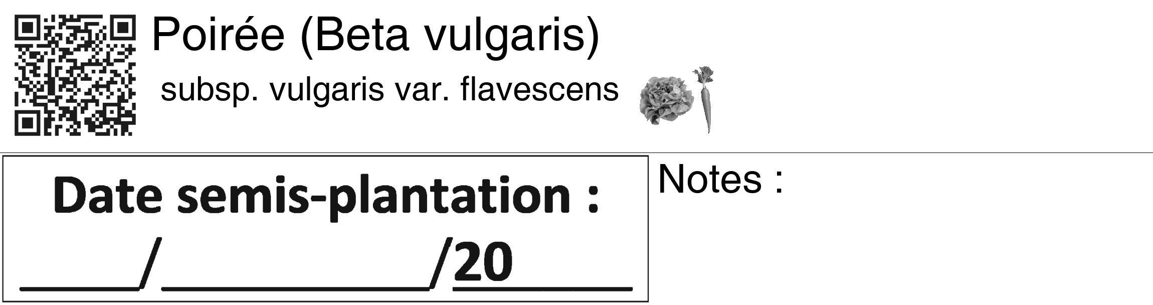 Étiquette de : Beta vulgaris subsp. vulgaris var. flavescens - format c - style noire60_basiquegrrvhel avec qrcode et comestibilité simplifiée