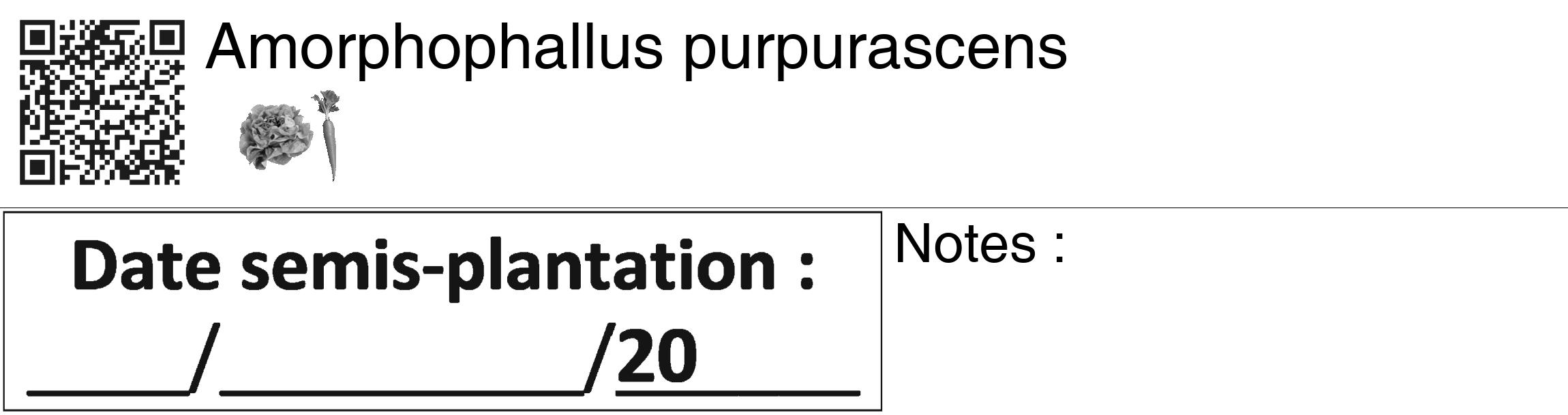 Étiquette de : Amorphophallus purpurascens - format c - style noire60_basiquegrrvhel avec qrcode et comestibilité simplifiée
