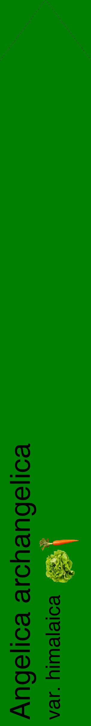 Étiquette de : Angelica archangelica var. himalaica - format c - style noire9_simplehel avec comestibilité simplifiée