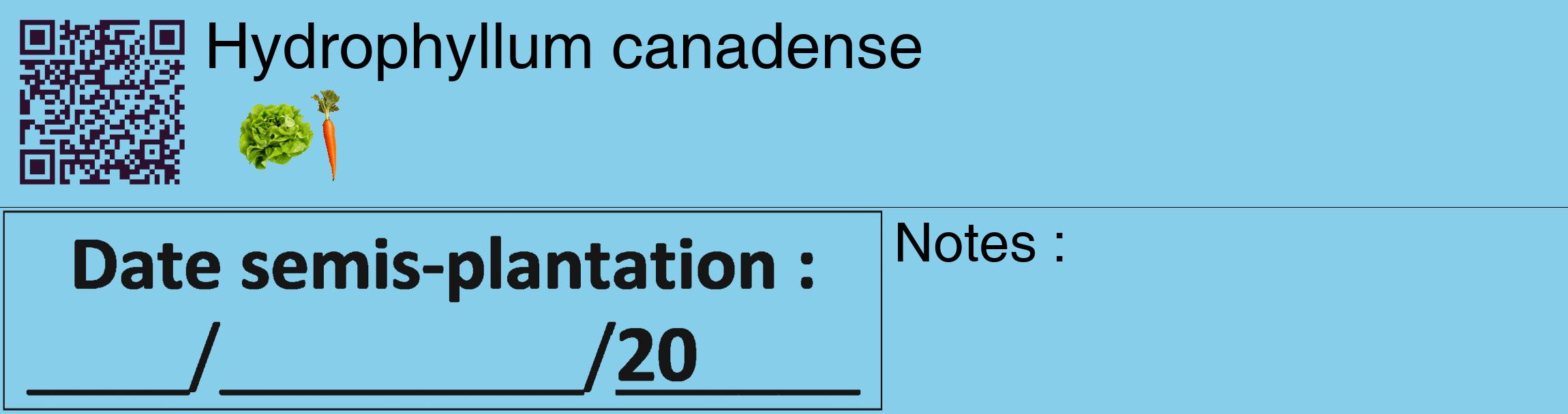 Étiquette de : Hydrophyllum canadense - format c - style noire1_basique_basiquehel avec qrcode et comestibilité simplifiée