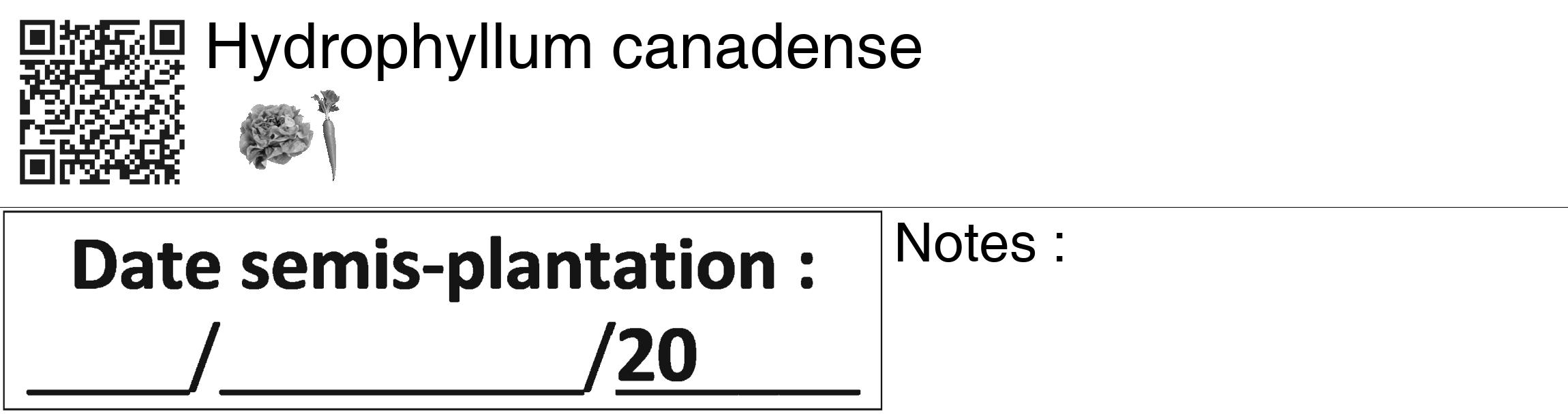 Étiquette de : Hydrophyllum canadense - format c - style noire60_basiquegrrvhel avec qrcode et comestibilité simplifiée