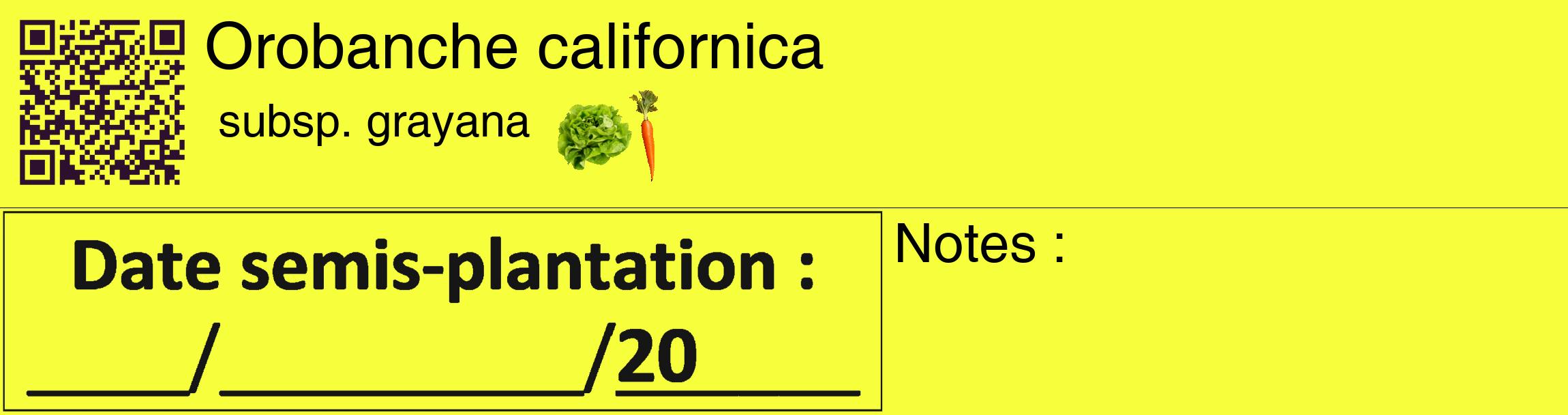 Étiquette de : Orobanche californica subsp. grayana - format c - style noire18_basique_basiquehel avec qrcode et comestibilité simplifiée
