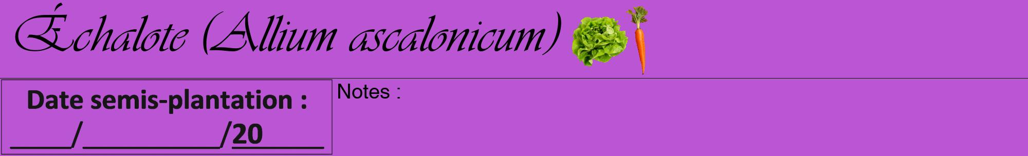 Étiquette de : Allium ascalonicum - format a - style noire50viv avec comestibilité simplifiée