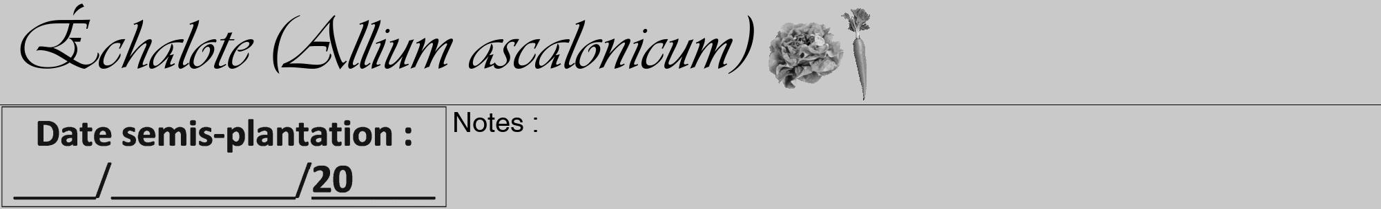 Étiquette de : Allium ascalonicum - format a - style noire54viv avec comestibilité simplifiée