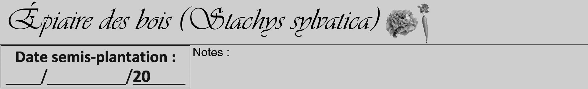 Étiquette de : Stachys sylvatica - format a - style noire17viv avec comestibilité simplifiée
