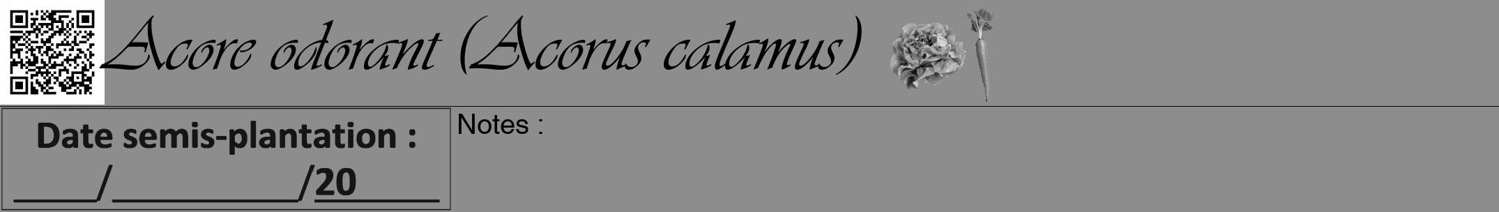 Étiquette de : Acorus calamus - format a - style noire2viv avec qrcode et comestibilité simplifiée