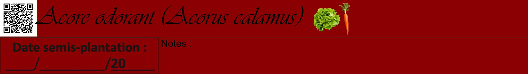 Étiquette de : Acorus calamus - format a - style noire34viv avec qrcode et comestibilité simplifiée