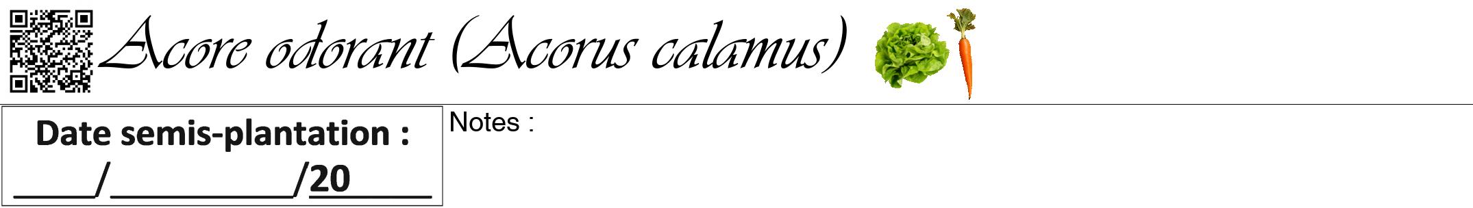 Étiquette de : Acorus calamus - format a - style noire60viv avec qrcode et comestibilité simplifiée