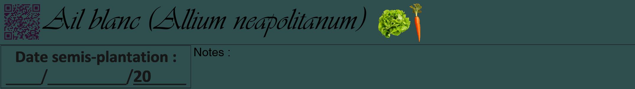 Étiquette de : Allium neapolitanum - format a - style noire58viv avec qrcode et comestibilité simplifiée
