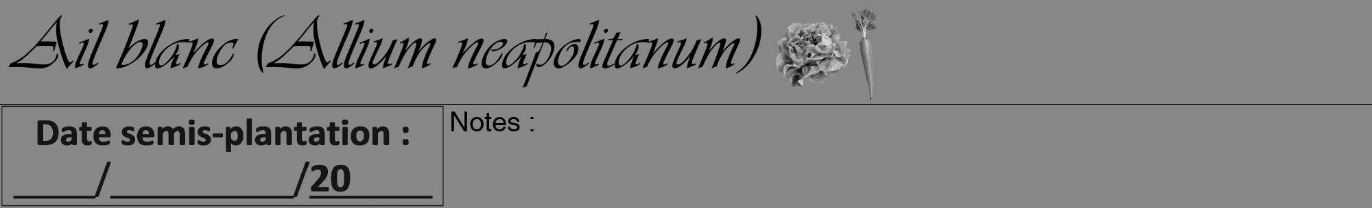 Étiquette de : Allium neapolitanum - format a - style noire12viv avec comestibilité simplifiée