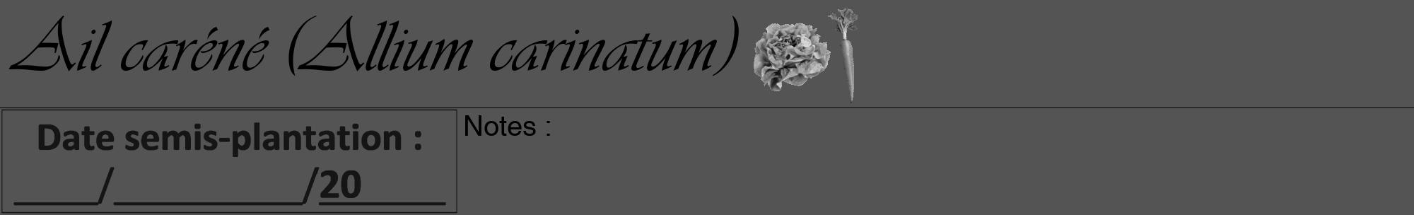 Étiquette de : Allium carinatum - format a - style noire36viv avec comestibilité simplifiée