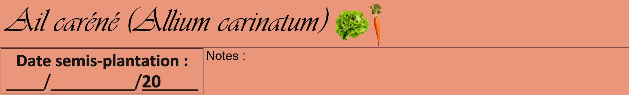 Étiquette de : Allium carinatum - format a - style noire37viv avec comestibilité simplifiée