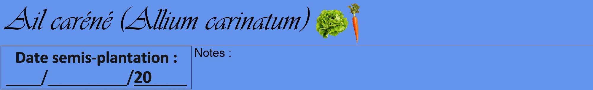 Étiquette de : Allium carinatum - format a - style noire4viv avec comestibilité simplifiée