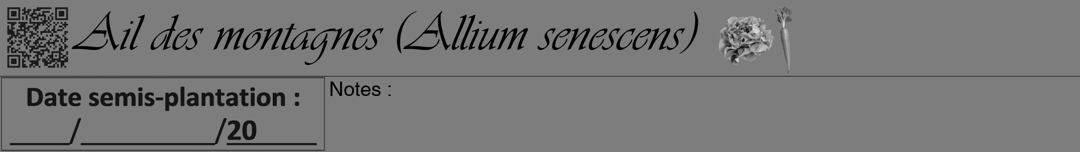 Étiquette de : Allium senescens - format a - style noire35viv avec qrcode et comestibilité simplifiée