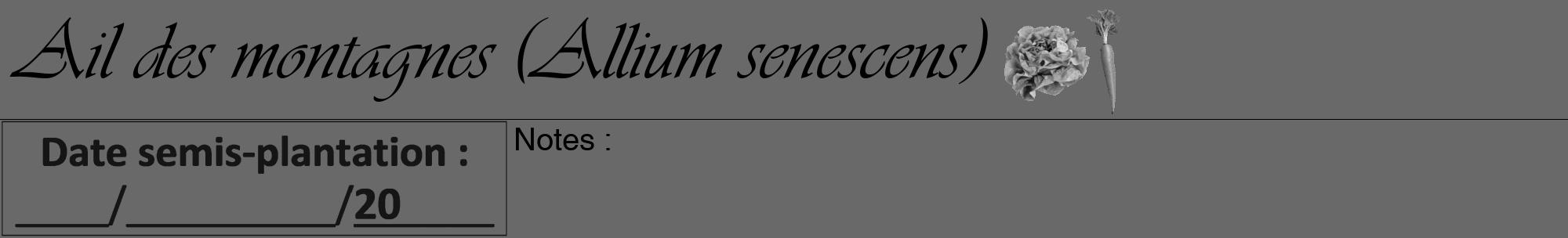 Étiquette de : Allium senescens - format a - style noire11viv avec comestibilité simplifiée