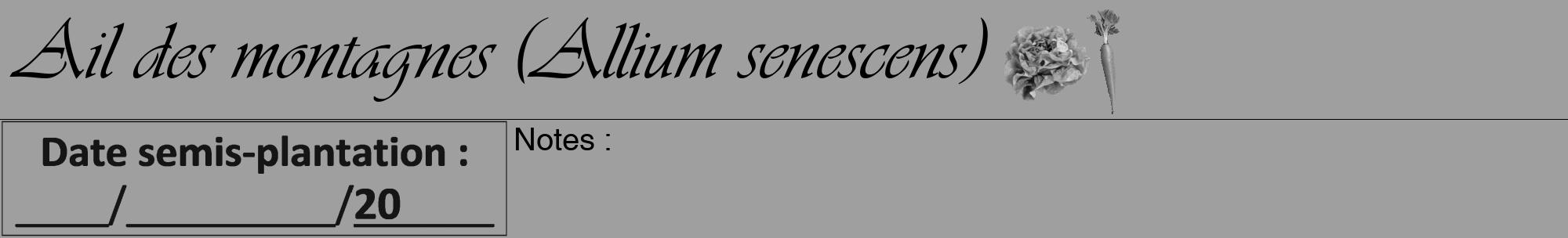 Étiquette de : Allium senescens - format a - style noire24viv avec comestibilité simplifiée