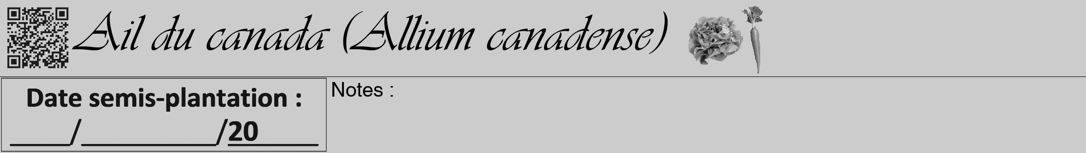 Étiquette de : Allium canadense - format a - style noire0viv avec qrcode et comestibilité simplifiée