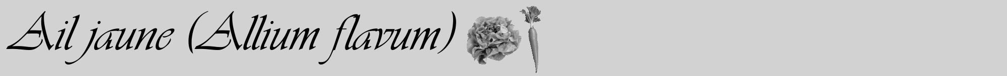 Étiquette de : Allium flavum - format a - style noire14viv avec comestibilité simplifiée