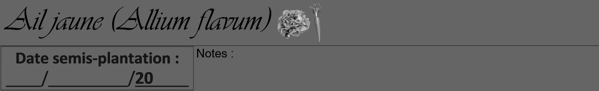 Étiquette de : Allium flavum - format a - style noire32viv avec comestibilité simplifiée
