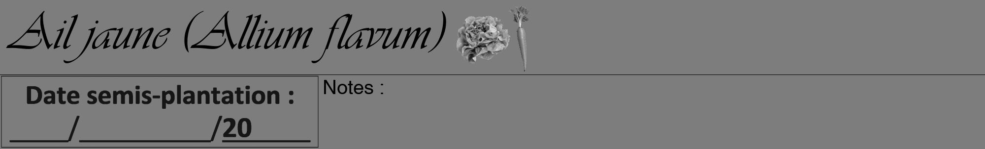 Étiquette de : Allium flavum - format a - style noire35viv avec comestibilité simplifiée