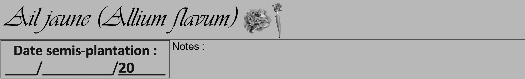 Étiquette de : Allium flavum - format a - style noire39viv avec comestibilité simplifiée