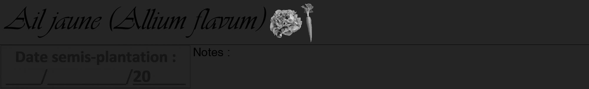 Étiquette de : Allium flavum - format a - style noire47viv avec comestibilité simplifiée