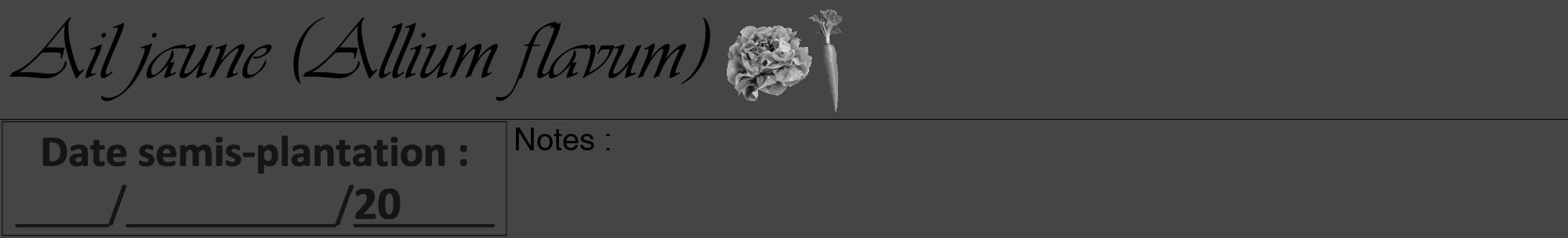 Étiquette de : Allium flavum - format a - style noire58viv avec comestibilité simplifiée