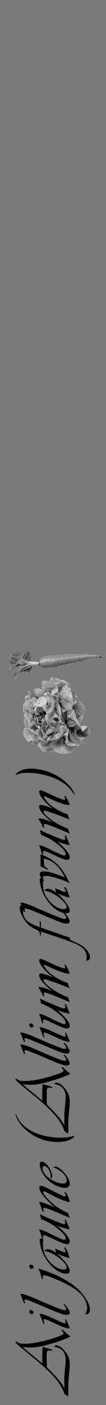 Étiquette de : Allium flavum - format a - style noire3viv avec comestibilité simplifiée - position verticale