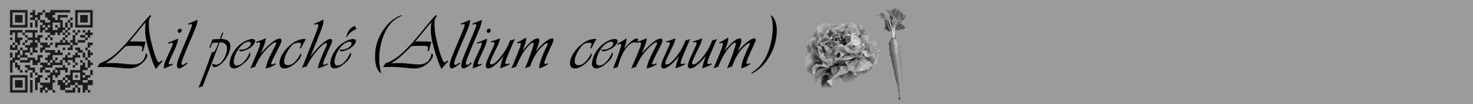 Étiquette de : Allium cernuum - format a - style noire52viv avec qrcode et comestibilité simplifiée