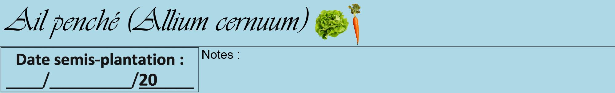 Étiquette de : Allium cernuum - format a - style noire0viv avec comestibilité simplifiée