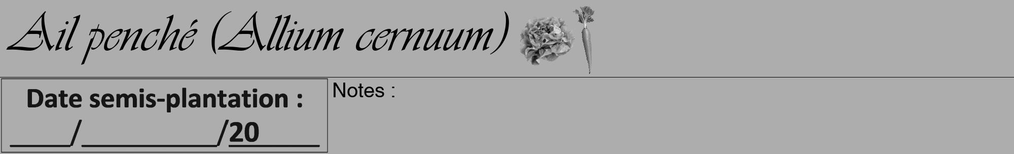 Étiquette de : Allium cernuum - format a - style noire22viv avec comestibilité simplifiée